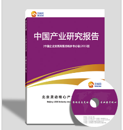 北京市場調研報告-靈動核心