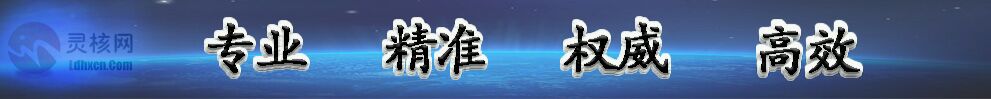 靈核網